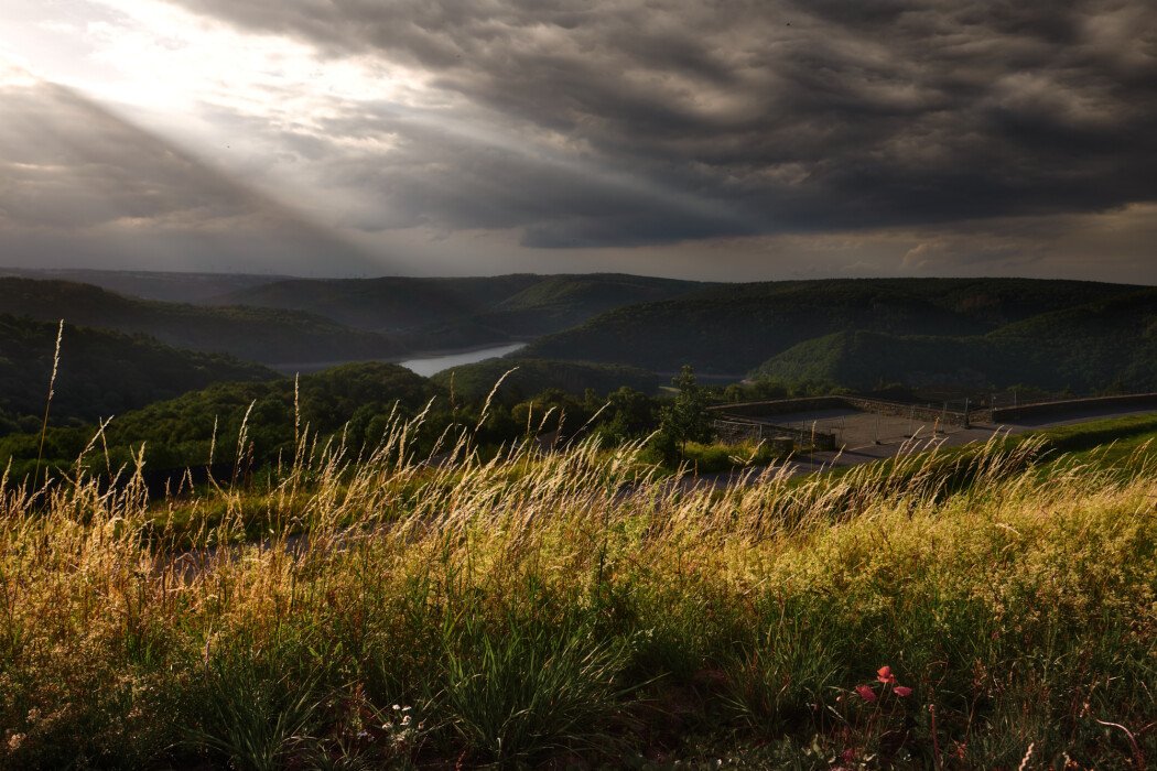 eifel-nationalpark-vogelsand_50088245027_o.jpeg