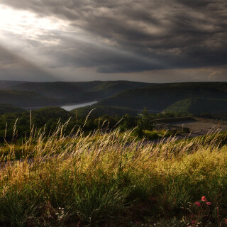 eifel-nationalpark-vogelsand_50088245027_o