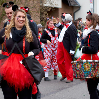 karneval-bornheim-2019-7_46354513385_o