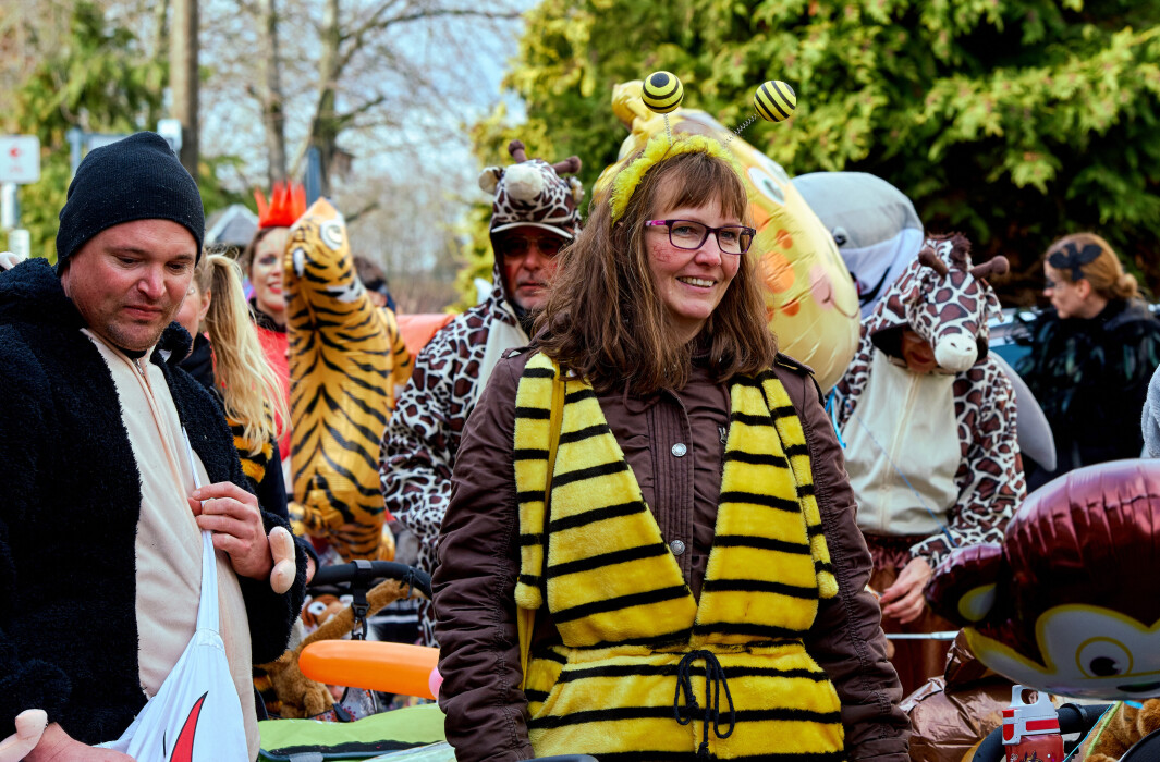 karneval-bornheim-walberberg-2019-49_46564391594_o.jpeg