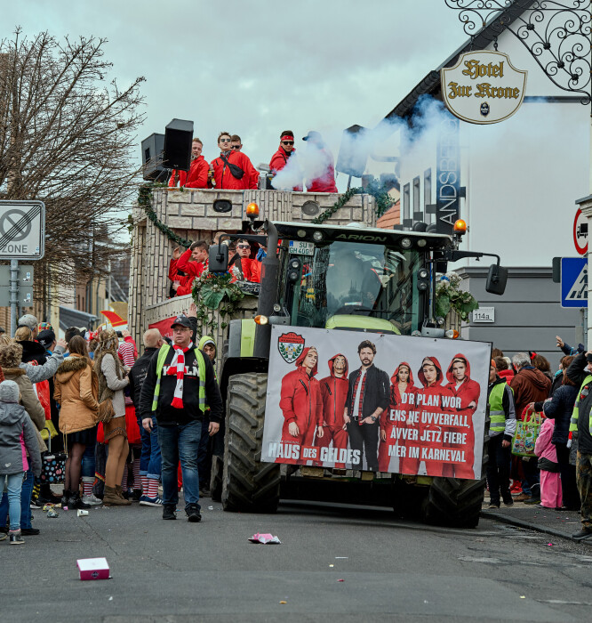 karneval-bornheim-walberberg-2019_47281353381_o.jpeg