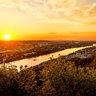 panorama-rein-bonn_47592592852_o