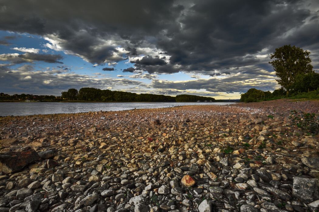 rhein blick auf mondorf 49985364818 o