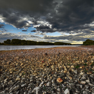 rhein-blick-auf-mondorf_49985364818_o