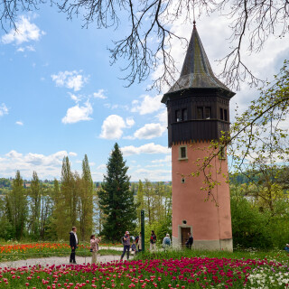 _DSC5783w