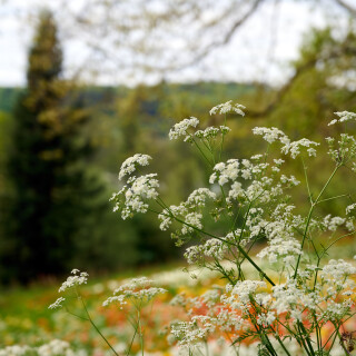 _DSC5793w