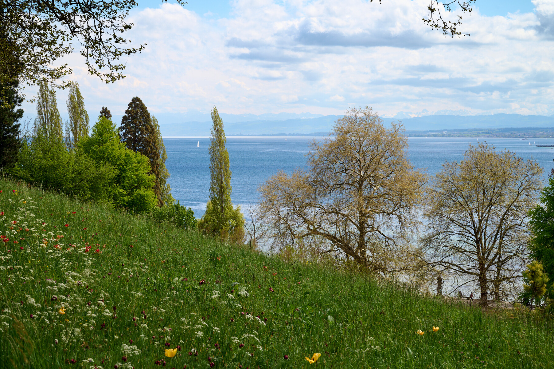 _DSC5797w.jpg