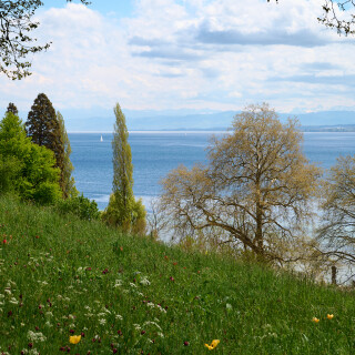 _DSC5797w
