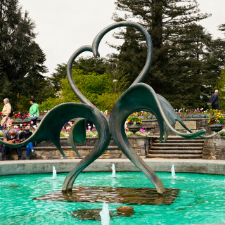 _DSC5819w