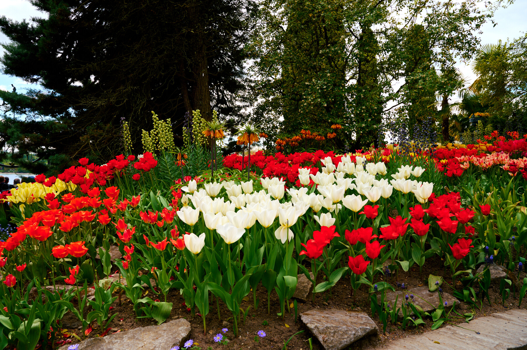 _DSC5839w.jpg