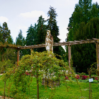 _DSC5841w