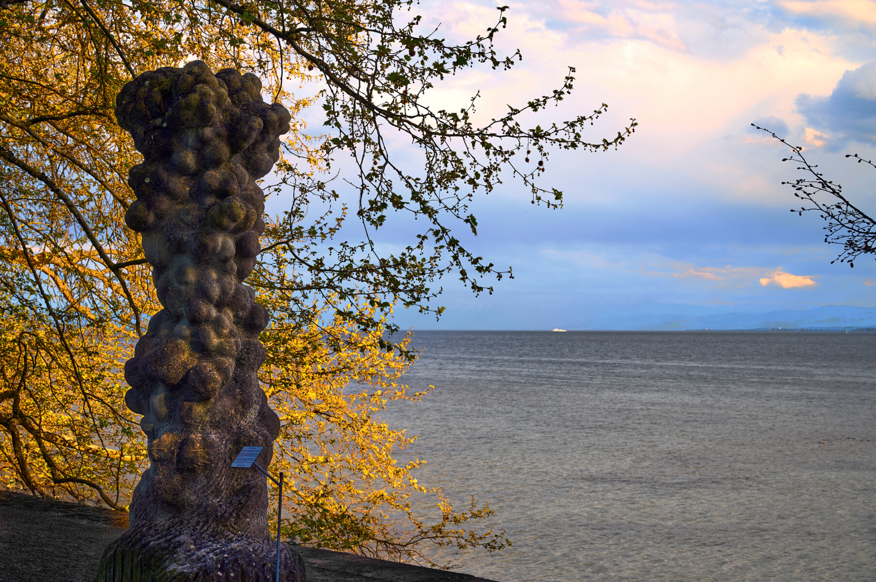 _DSC6007w.jpg