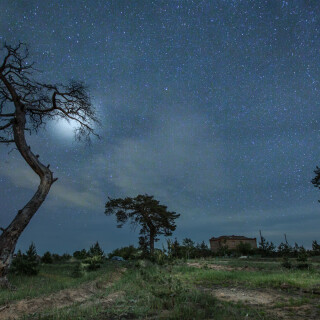 OSENNYY-ASTRONOMIY_SELTY-DEREVO-I-ZVEZDY-L8493-L7155_OSENNYY-ASTRONOMIY_SELTY-DEREVO-I-ZVEZDY-L8493-L7155__MQ-1080p