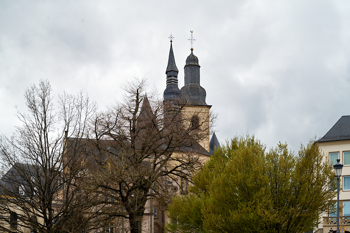 _DSC6754.jpg