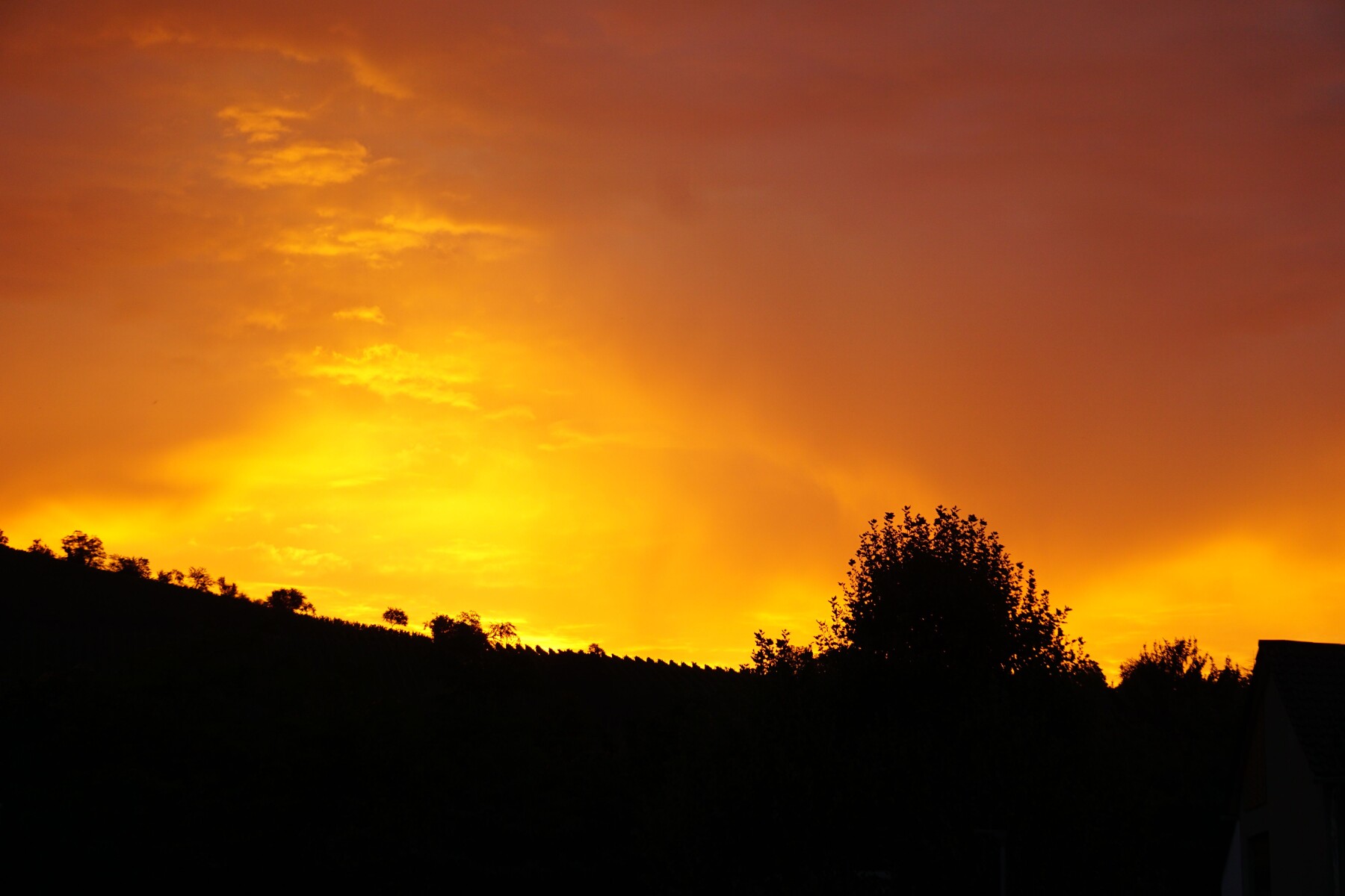 DSC00846.jpg
